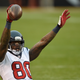 Illustration for article titled Report That Andre Johnson Is Willing To Take A Pay Cut Is News To Him